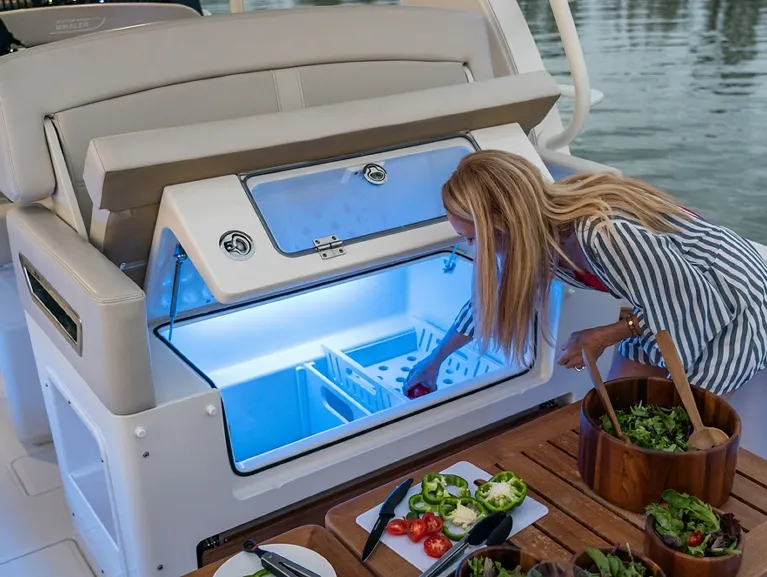 Boston Whaler 380 Realm photo 4