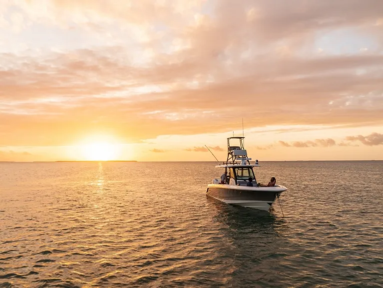 Boston Whaler 360 Outrage photo 4