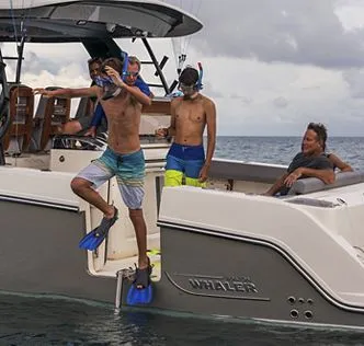 Boston Whaler 420 Outrage photo 4