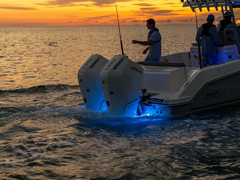 Boston Whaler 330 Outrage photo 6