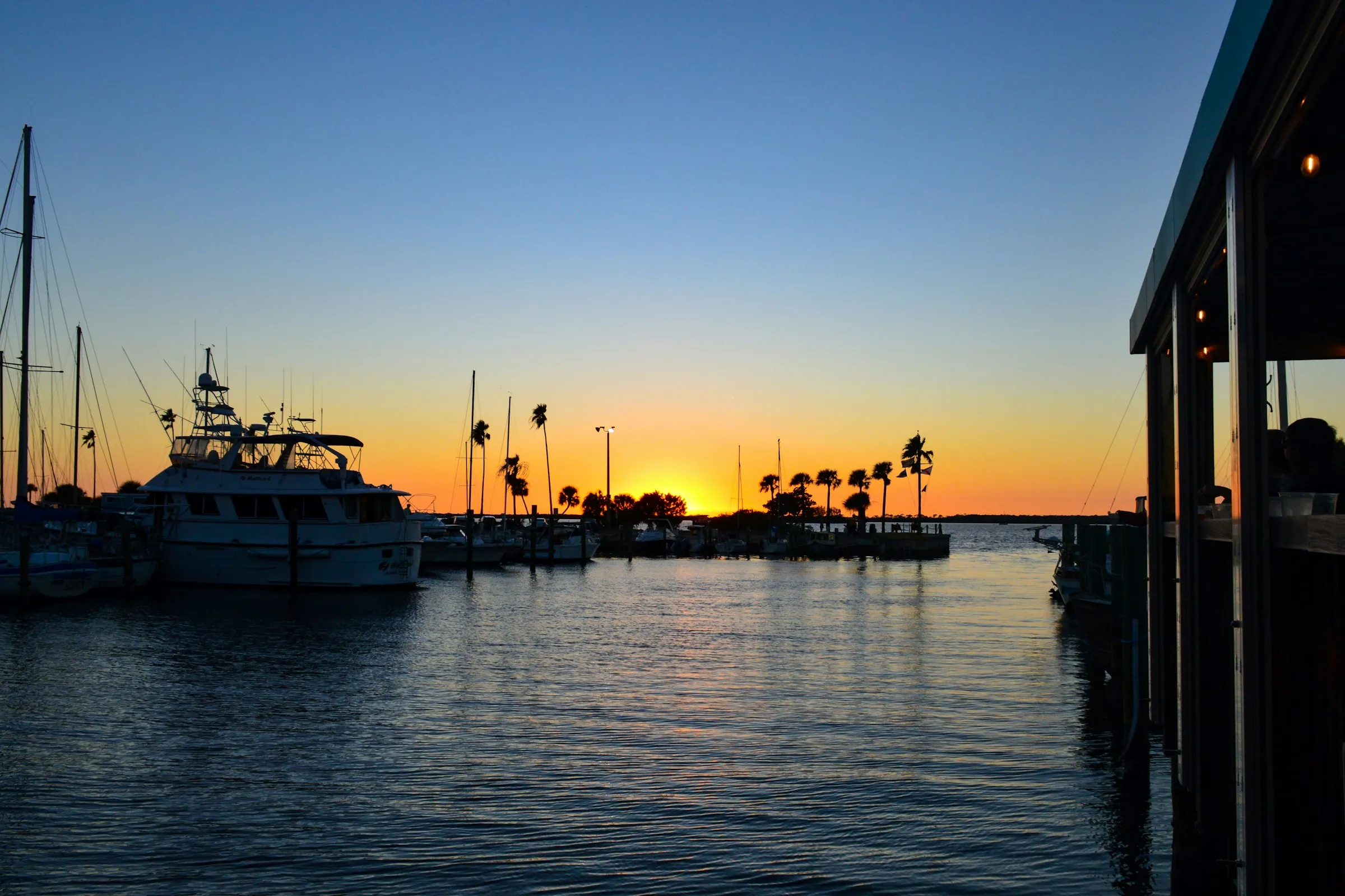 Motor yacht and palm-lined marina silhouetted at dusk